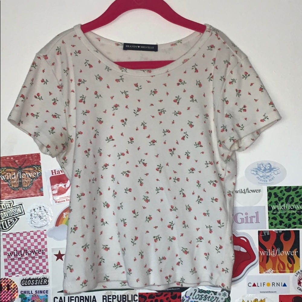 brandy melville floral ashlyn top